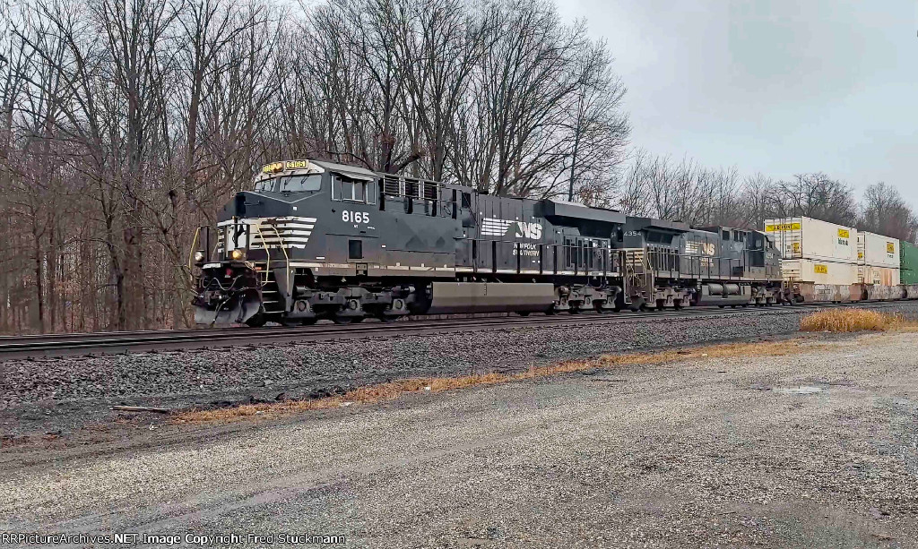 NS 8165 leads 23Gloomy